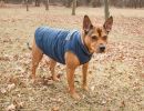 Touchdog Waggin Swag Reversible Insulated Pet Coat