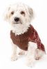 Vintage Symphony Static Fashion Knitted Dog Sweater