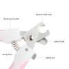 2Pcs/set Pet Grooming Tools Stainless Steel Nail Clippers Dogs Cats Nail Scissor Nail Cutter Puppy Kitten Grooming Nail Grinder