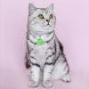 Pet Collar Cat Cute Cat Pattern Pendant Collar For Dogs Kitten Cats