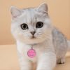 Pet Collar Cat Cute Cat Pattern Pendant Collar For Dogs Kitten Cats